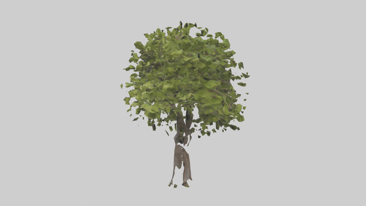 3D model Mulberry tree model VR / AR / low-poly