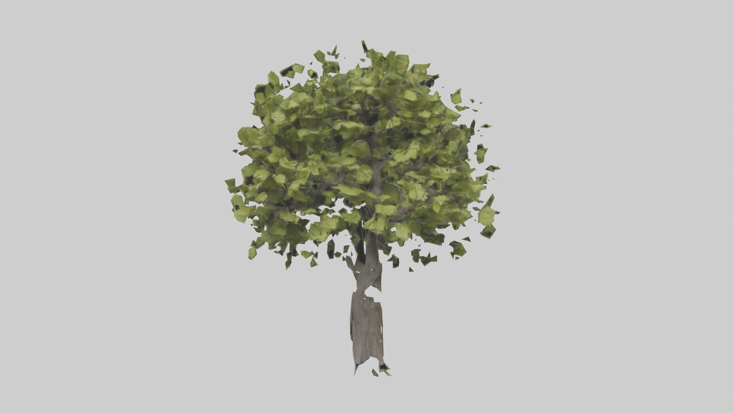 3D model Mulberry tree model VR / AR / low-poly