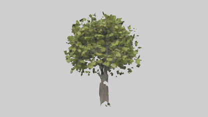 3D model Mulberry tree model VR / AR / low-poly