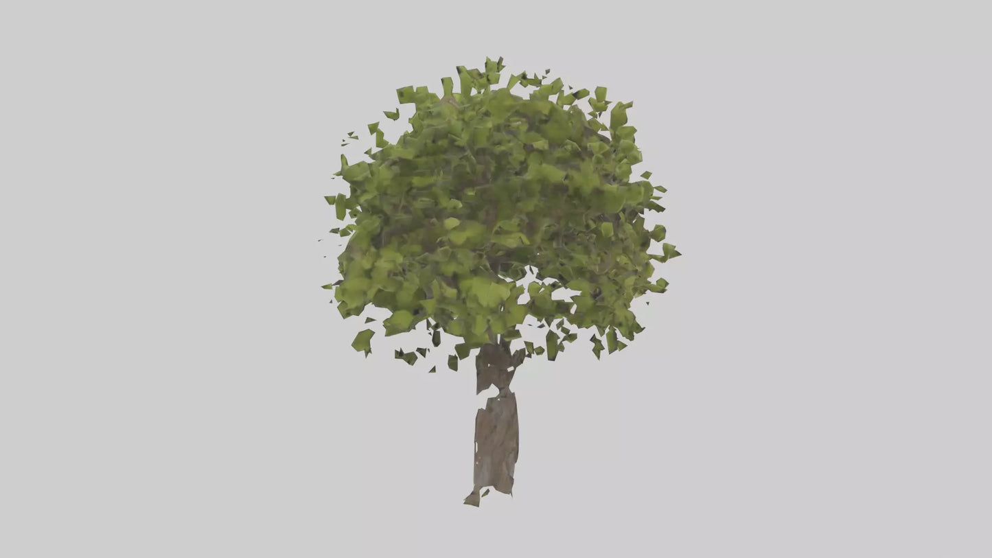 3D model Mulberry tree model VR / AR / low-poly