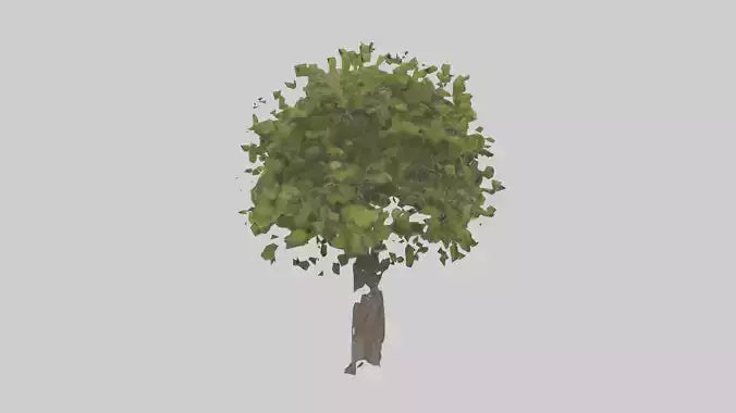 3D model Mulberry tree model VR / AR / low-poly