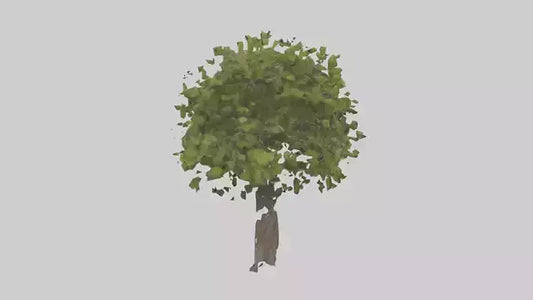 3D model Mulberry tree model VR / AR / low-poly