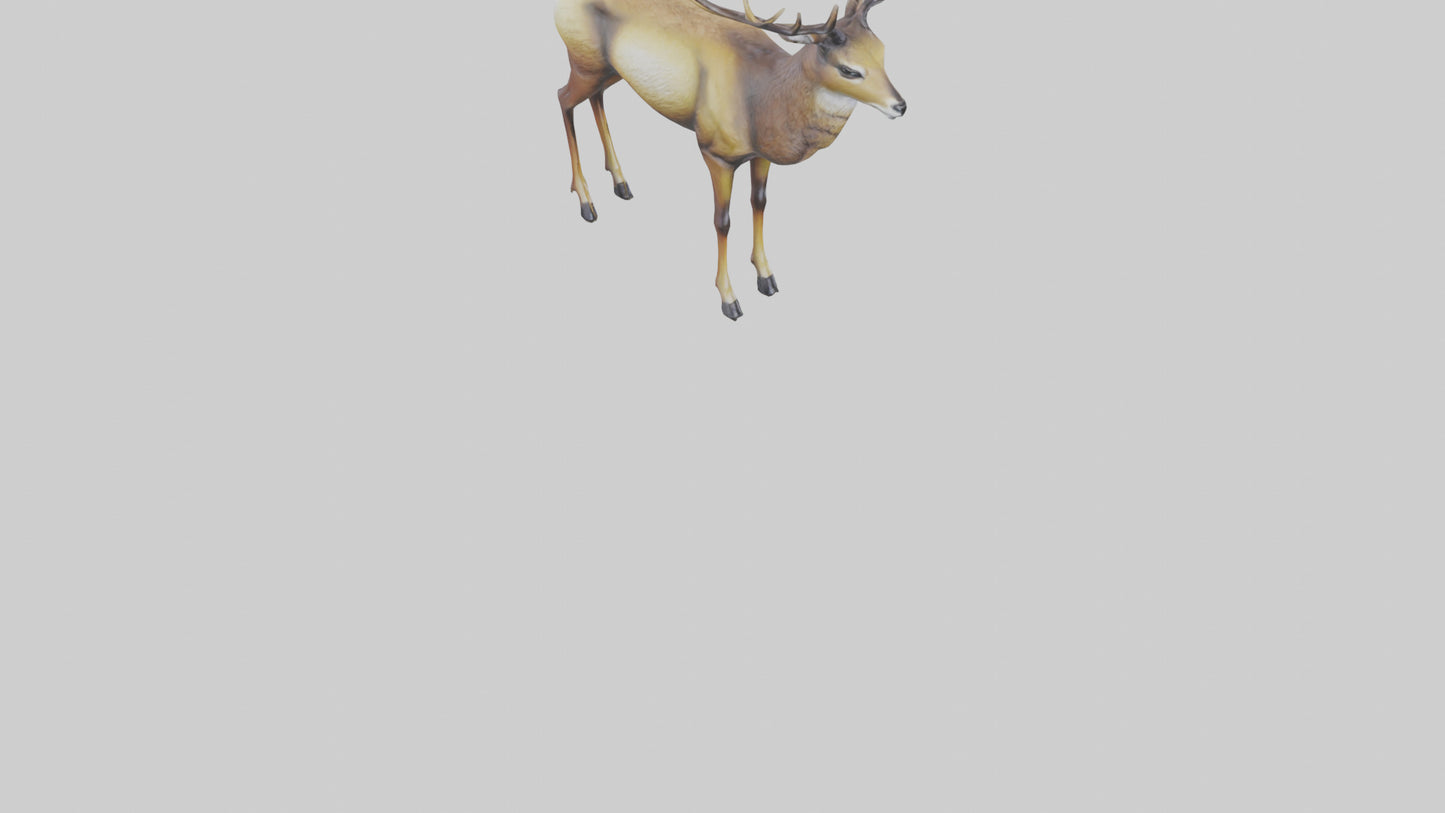 3D model Mule Deer statue model VR / AR / low-poly