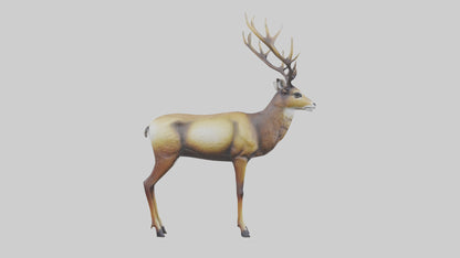 3D model Mule Deer statue model VR / AR / low-poly