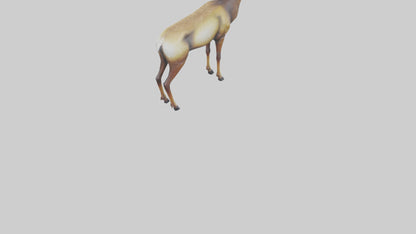 3D model Mule Deer statue model VR / AR / low-poly