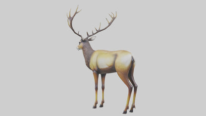 3D model Mule Deer statue model VR / AR / low-poly