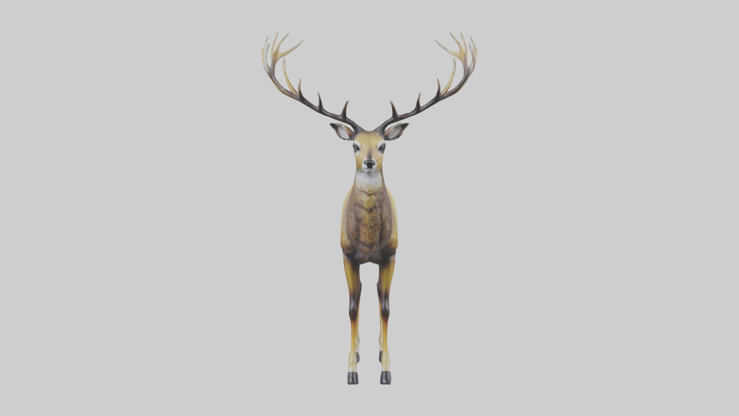 3D model Mule Deer statue model VR / AR / low-poly