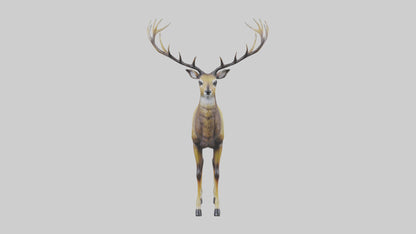 3D model Mule Deer statue model VR / AR / low-poly