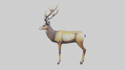 3D model Mule Deer statue model VR / AR / low-poly