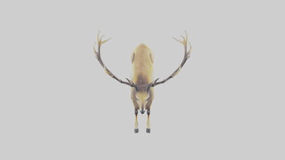 3D model Mule Deer statue model VR / AR / low-poly