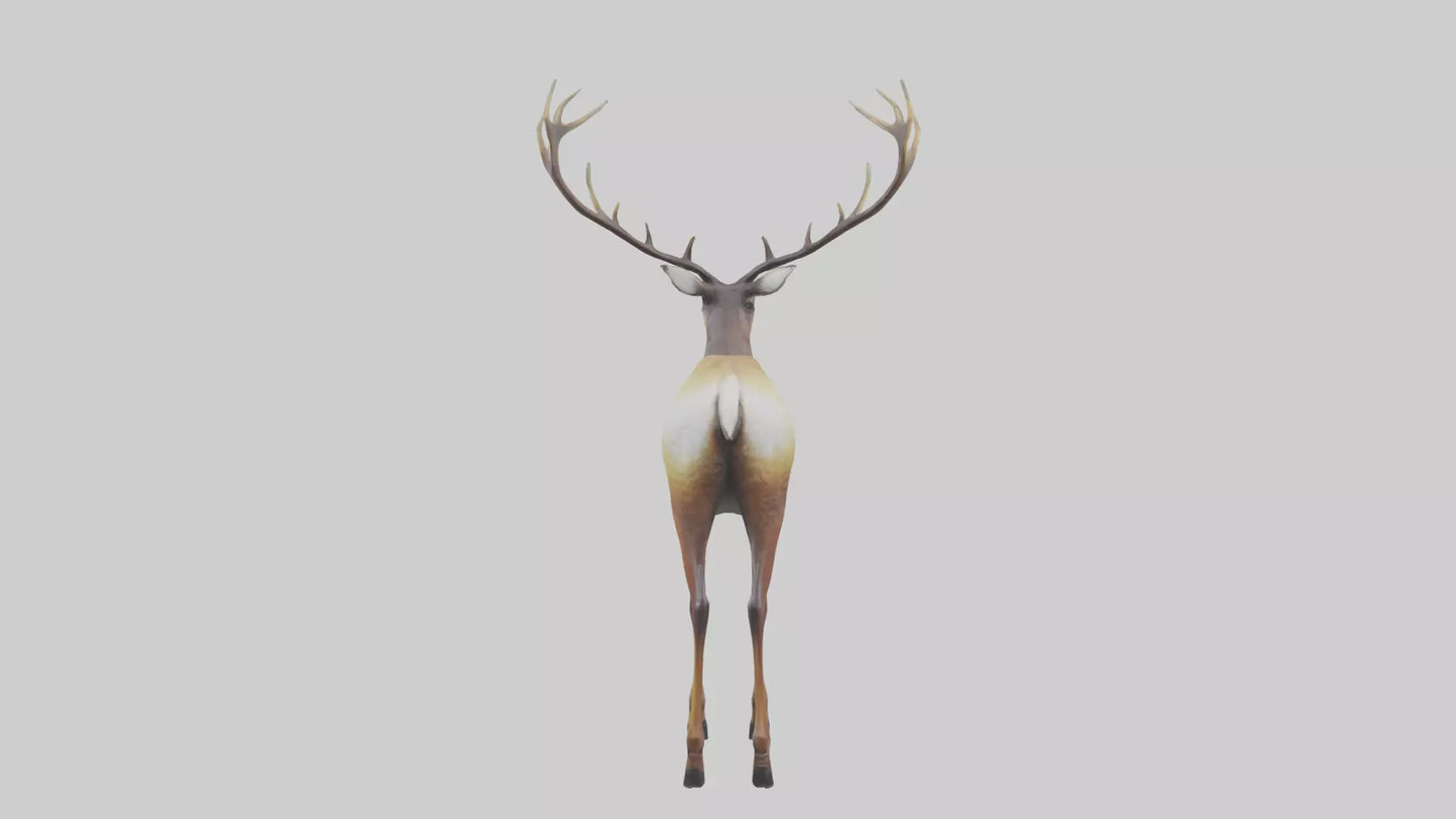 3D model Mule Deer statue model VR / AR / low-poly