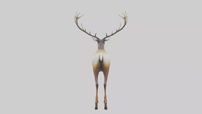 3D model Mule Deer statue model VR / AR / low-poly