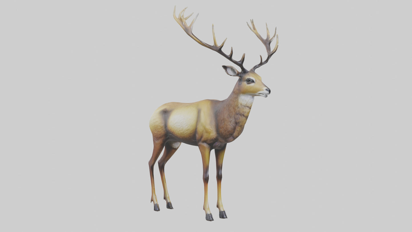3D model Mule Deer statue model VR / AR / low-poly