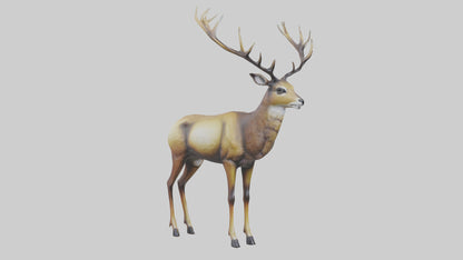 3D model Mule Deer statue model VR / AR / low-poly