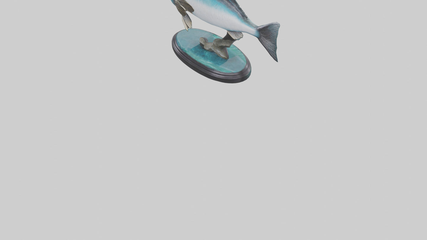 Mullet Fish statue model VR / AR / low-poly