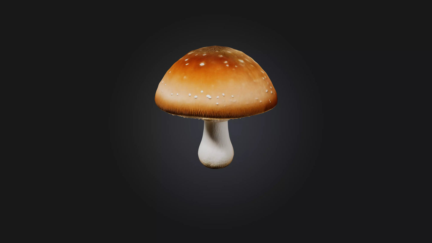 Mushroom 3D model