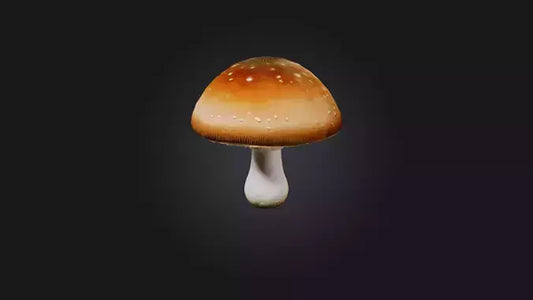 Mushroom 3D model