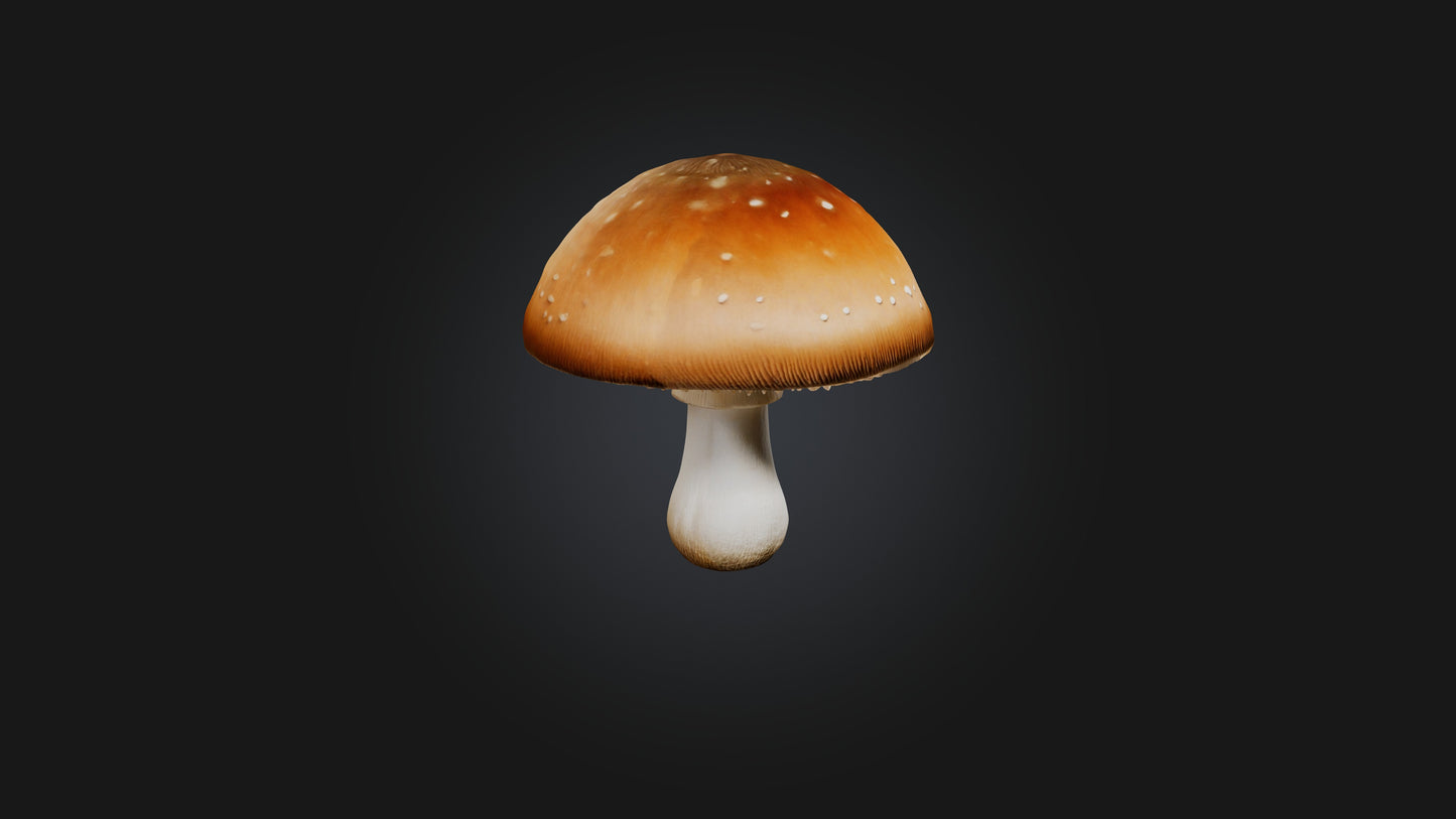 Mushroom 3D model