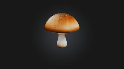 Mushroom 3D model