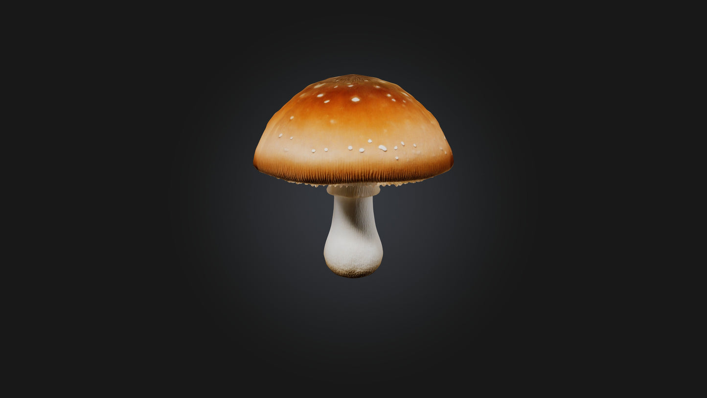 Mushroom 3D model