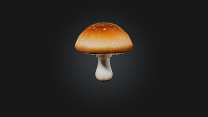 Mushroom 3D model