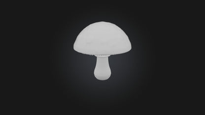 Mushroom 3D model