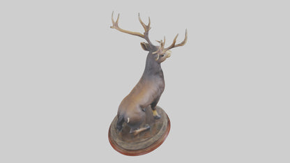3D model Musk Deer statue model VR / AR / low-poly