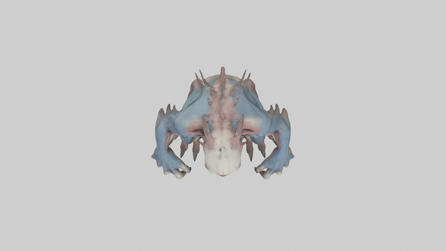 3D model Mutant creature model 2 VR / AR / low-poly