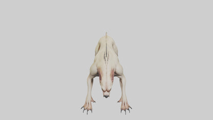 3D model Mutant Hound model VR / AR / low-poly