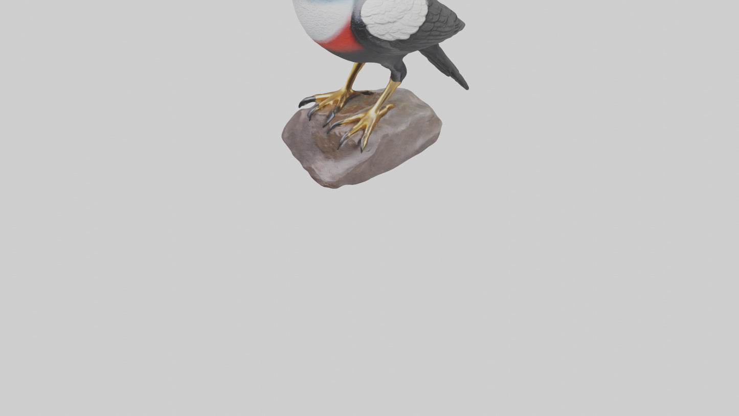 3D model Mynah Bird statue model VR / AR / low-poly