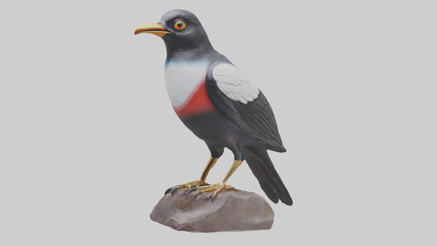 3D model Mynah Bird statue model VR / AR / low-poly