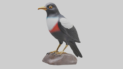 3D model Mynah Bird statue model VR / AR / low-poly