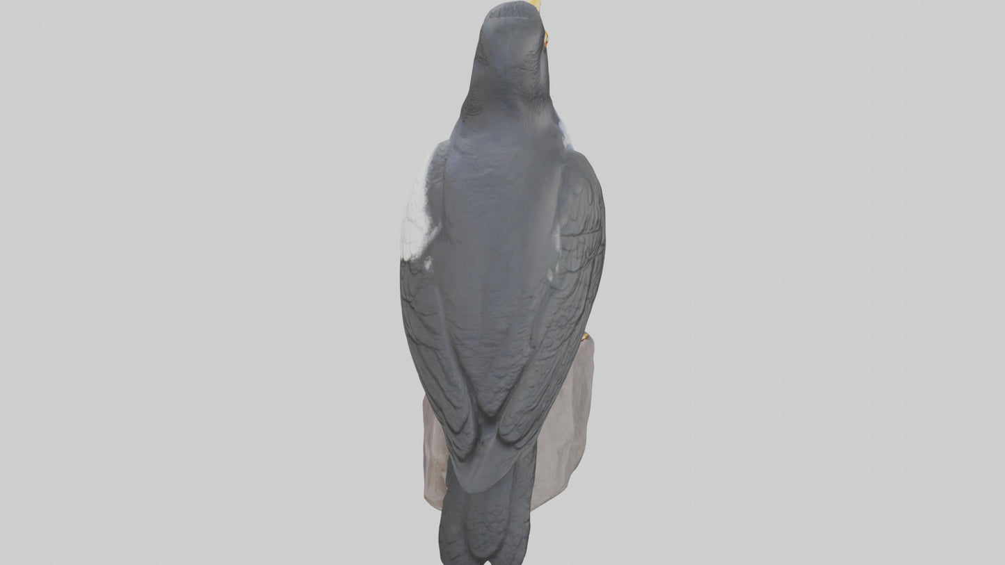 3D model Mynah Bird statue model VR / AR / low-poly