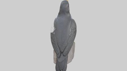 3D model Mynah Bird statue model VR / AR / low-poly