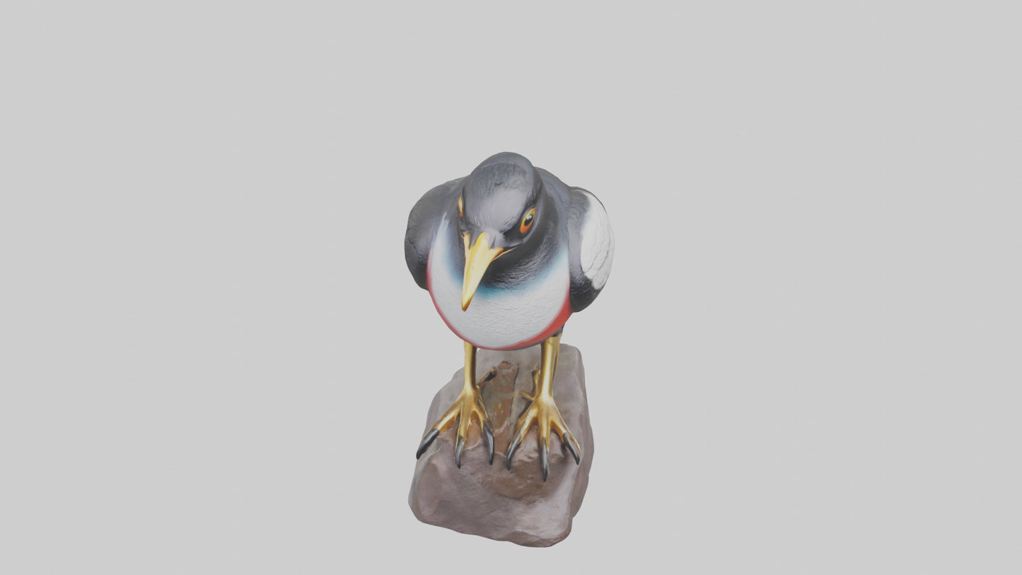 3D model Mynah Bird statue model VR / AR / low-poly