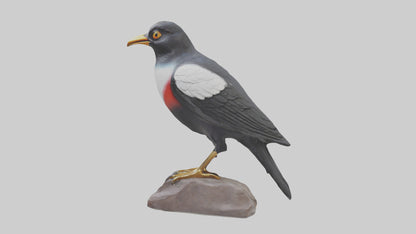 3D model Mynah Bird statue model VR / AR / low-poly