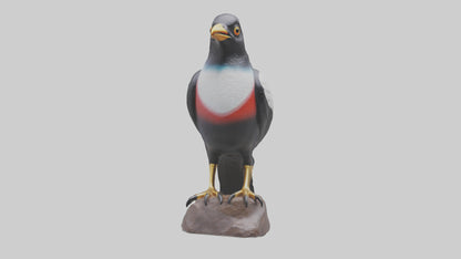 3D model Mynah Bird statue model VR / AR / low-poly