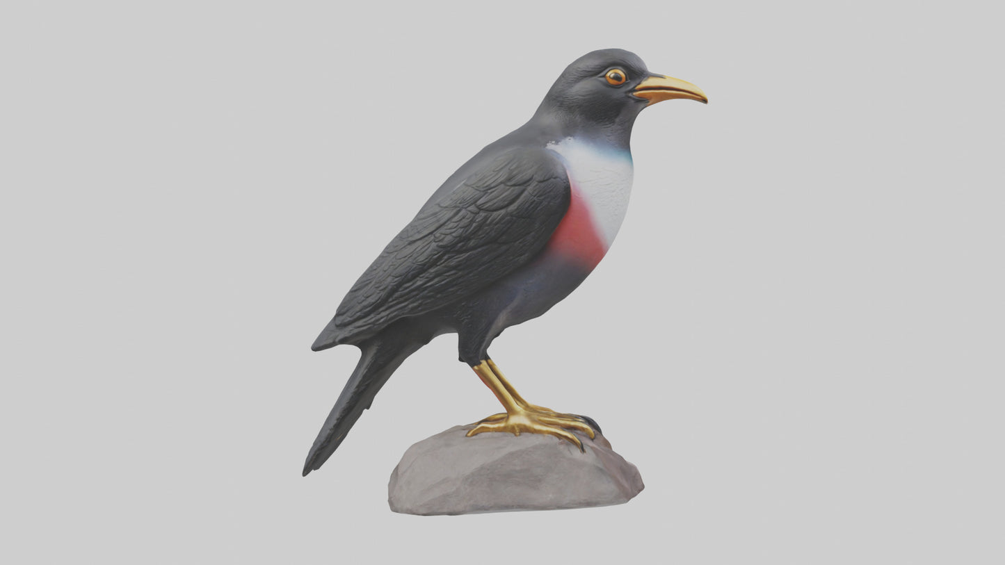 3D model Mynah Bird statue model VR / AR / low-poly