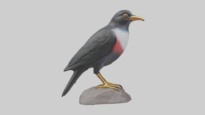 3D model Mynah Bird statue model VR / AR / low-poly