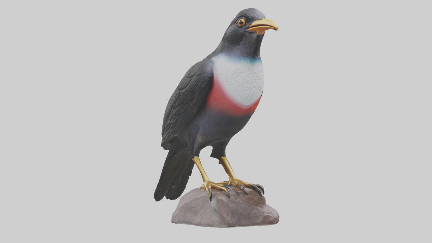 3D model Mynah Bird statue model VR / AR / low-poly