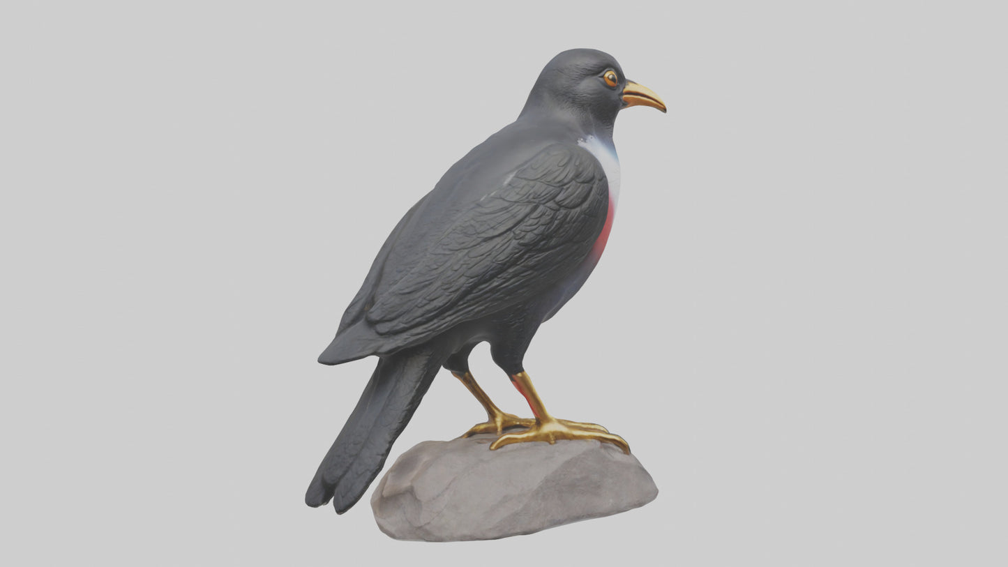 3D model Mynah Bird statue model VR / AR / low-poly