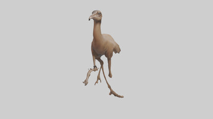 3D model Nandu Rhea running model VR / AR / low-poly