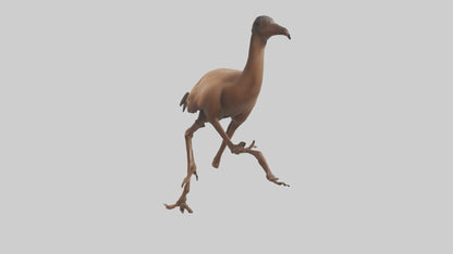 3D model Nandu Rhea running model VR / AR / low-poly