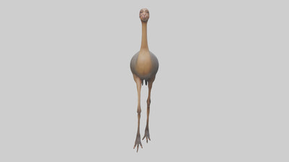 Nandu Rhea walking model VR / AR / low-poly