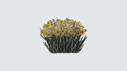 3D model Narcissus Flowers VR / AR / low-poly