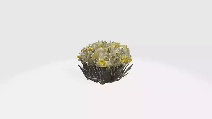 3D model Narcissus Flowers VR / AR / low-poly