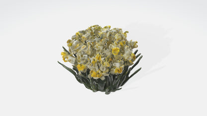 3D model Narcissus Flowers VR / AR / low-poly