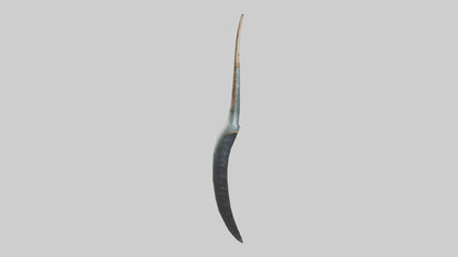 3D model Narwhal Horn VR / AR / low-poly