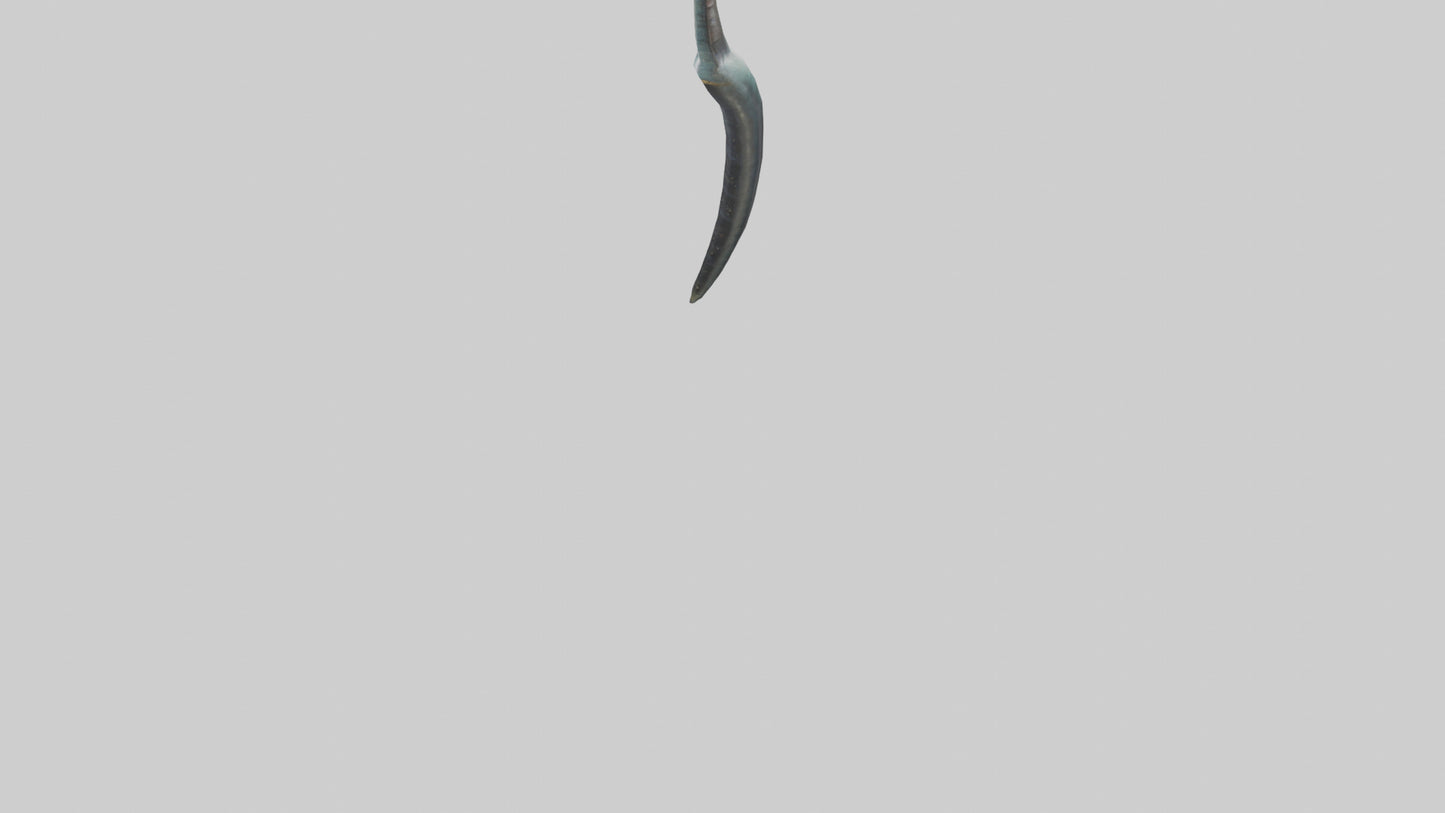 3D model Narwhal Horn VR / AR / low-poly