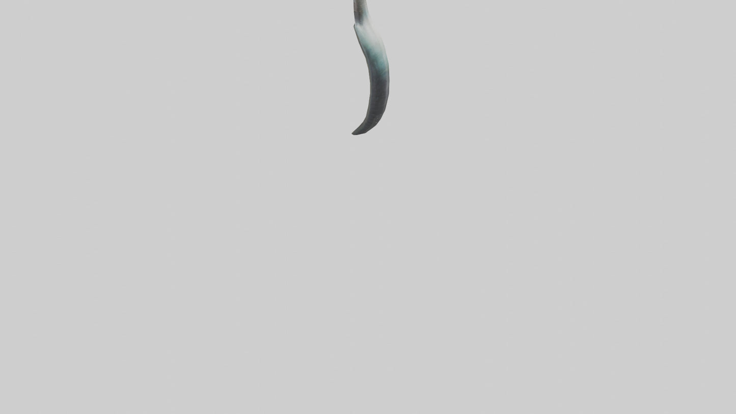 3D model Narwhal Horn VR / AR / low-poly